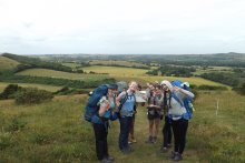 Bronze on the South Downs